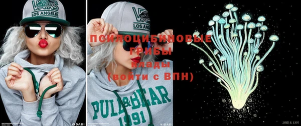 a pvp Аркадак