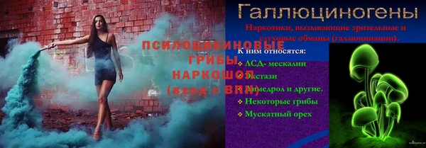 a pvp Аркадак