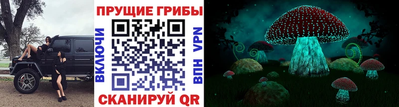 Купить закладки Бузулук Галлюциногенные грибы Psilocybine cubensis